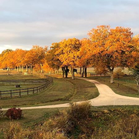 Haras Du Vignault Le Bucher Salbris Bagian luar foto