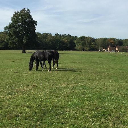 Haras Du Vignault Le Bucher Salbris Bagian luar foto