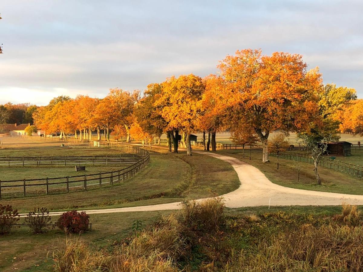 Haras Du Vignault Le Bucher Salbris Bagian luar foto